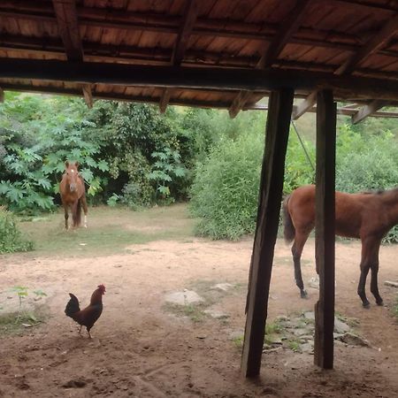 Pousada Quinta De Areal Alberto Torres Ngoại thất bức ảnh