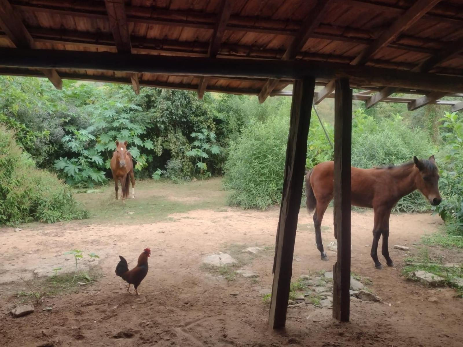 Pousada Quinta De Areal Alberto Torres Ngoại thất bức ảnh